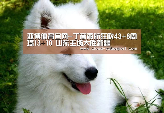 亚博体育官网-丁彦雨航狂砍43+8周琦13+10 山东主场大胜新疆(图2) 亚博棋牌