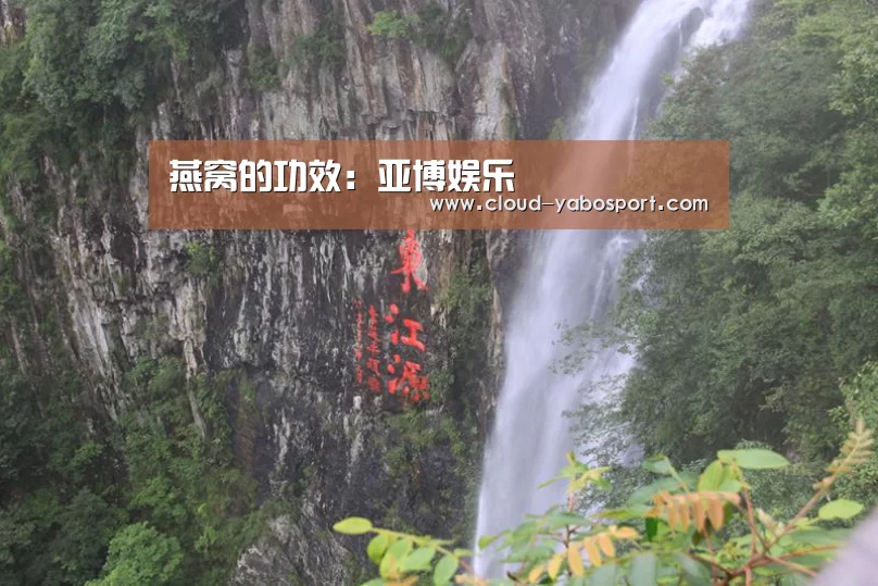 燕窝的功效:亚博娱乐(图3) 亚博娱乐