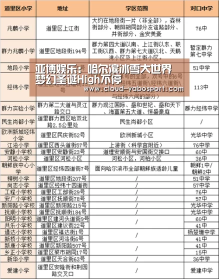 亚博娱乐:哈尔滨冰雪大世界 梦幻圣诞High不停(图2) 亚博娱乐