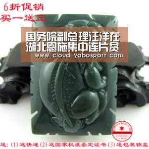 国务院副总理汪洋在湖北恩施集中连片贫困地区调研旅游扶贫工作:亚博娱乐(图2) 亚博娱乐