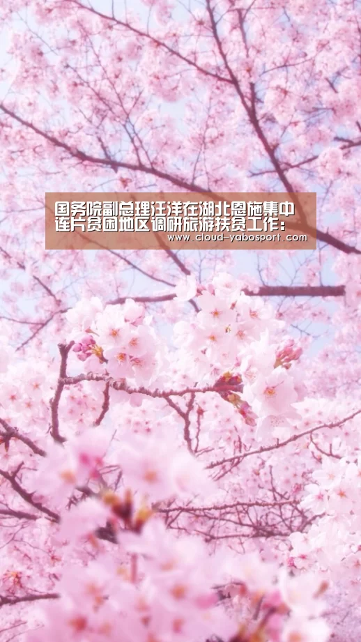 国务院副总理汪洋在湖北恩施集中连片贫困地区调研旅游扶贫工作:亚博娱乐(图4) 亚博体育官网