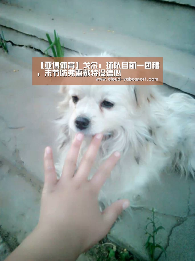 亚博娱乐
